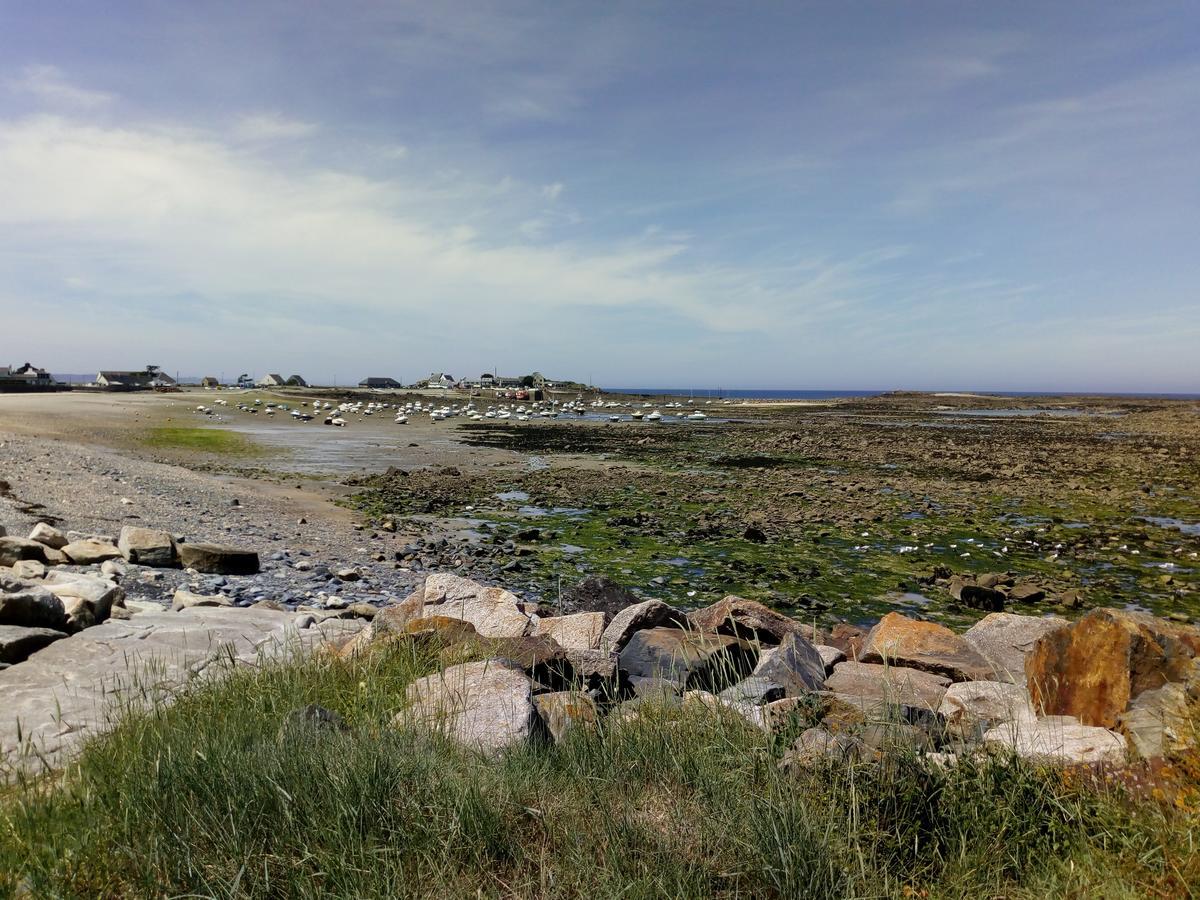 Grand Hotel De Port Blanc Penvenan Bagian luar foto